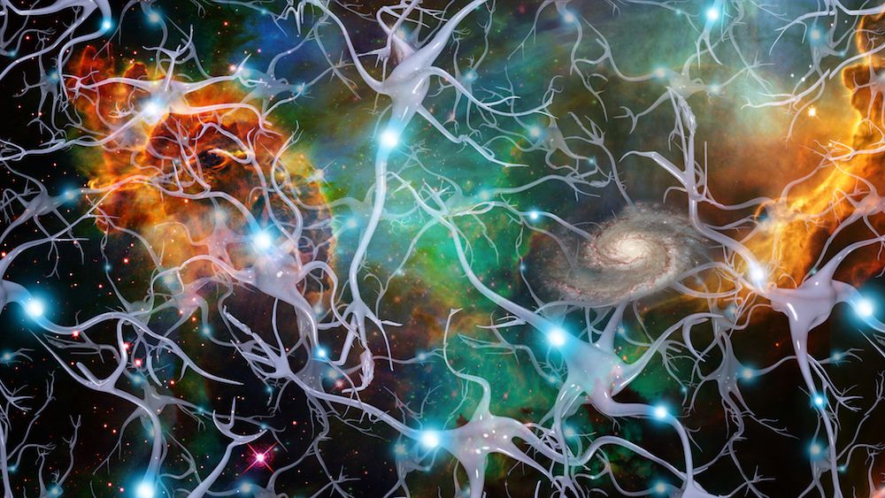 Brain Cells and Deep Space